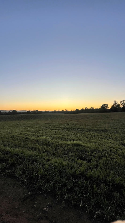 The Sunday Reset - Wombourne - 20/09
